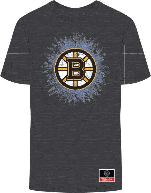Boston Bruins Mitchell & Ness Iced Up T-Shirt