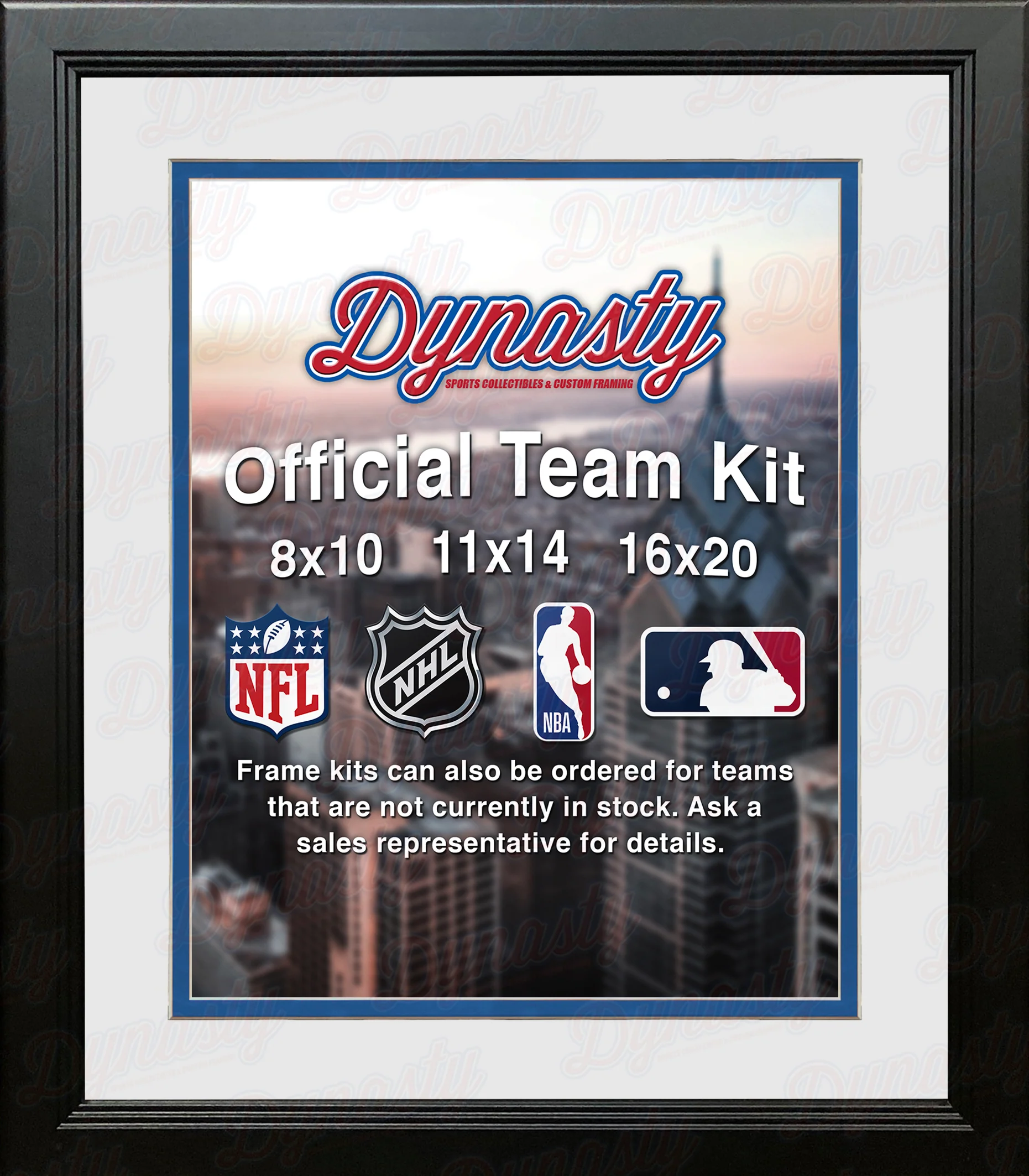 MLB Baseball Photo Picture Frame Kit - Tampa Bay Rays (White Matting, Blue Trim) - Image 2