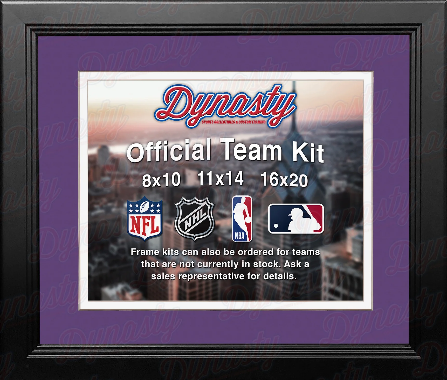 NBA Basketball Photo Picture Frame Kit - Charlotte Hornets (Purple Matting, White Trim)