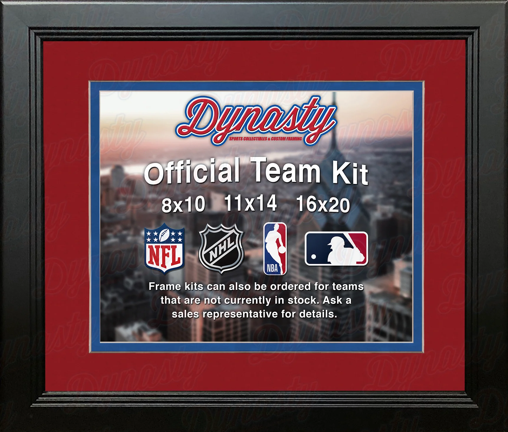 NBA Basketball Photo Picture Frame Kit - Detroit Pistons (Red Matting, Blue Trim)