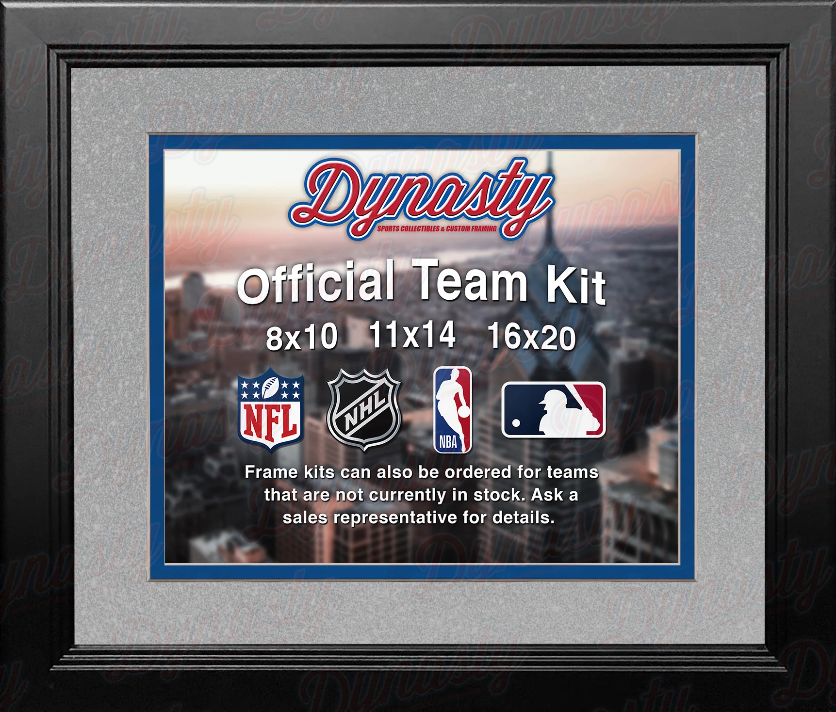 NBA Basketball Photo Picture Frame Kit - Orlando Magic (Silver Matting, Blue Trim)