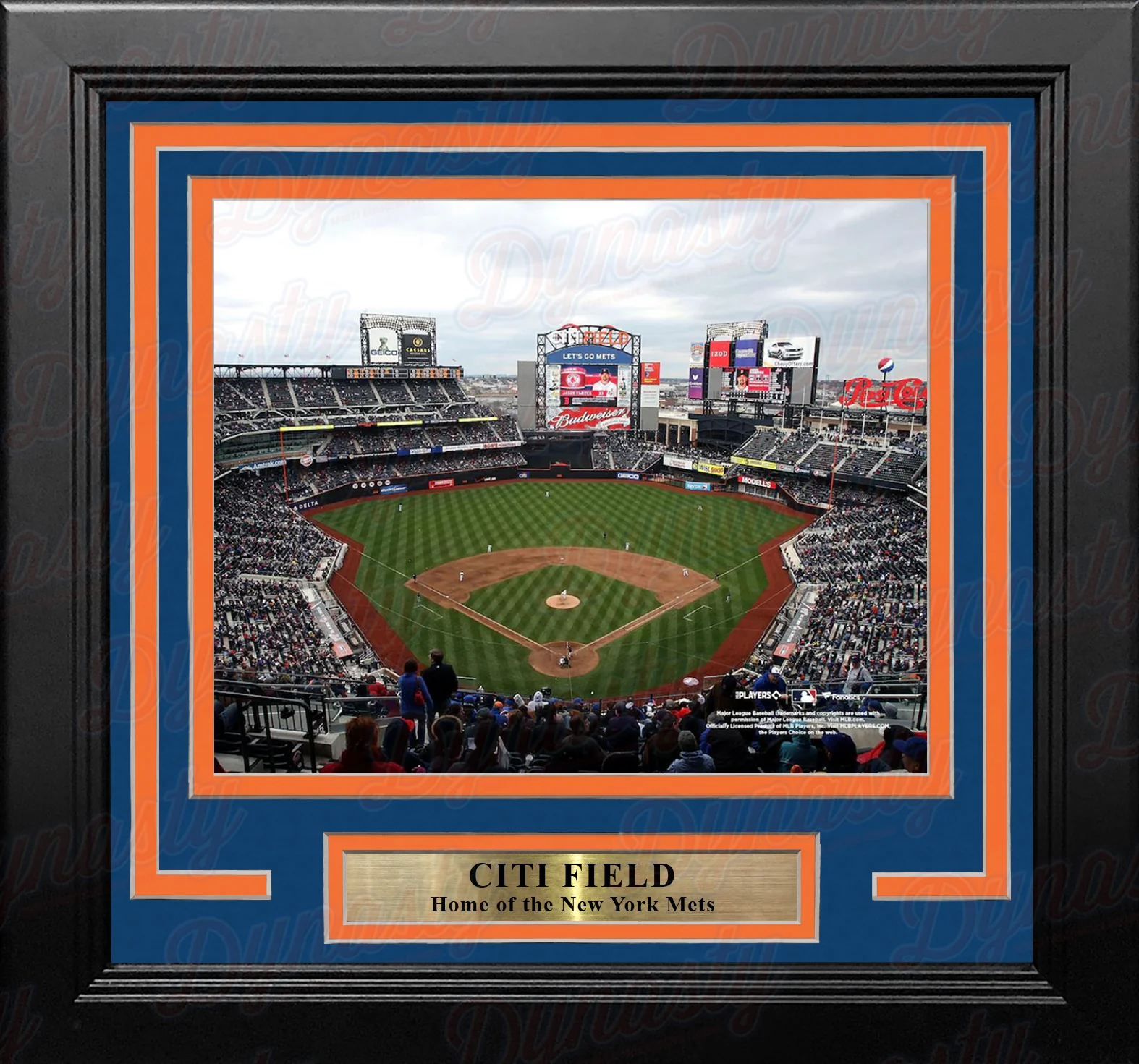 New York Mets Citi Field 8" x 10" Framed Baseball Stadium Photo