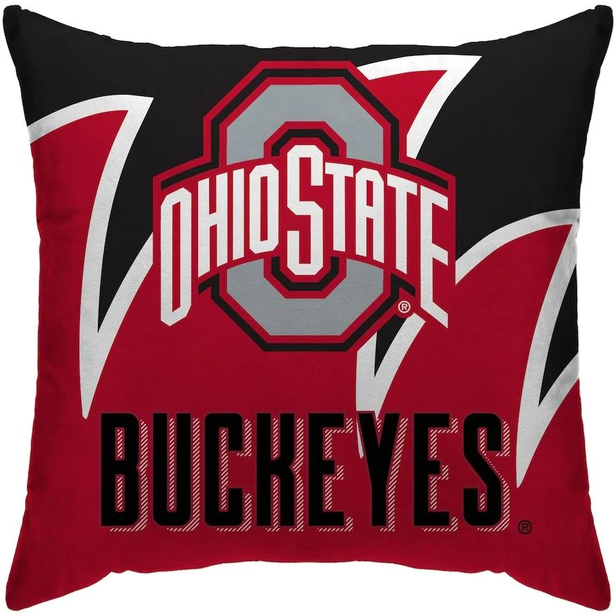 Ohio State Buckeyes 18'' x 18'' Splash Décor Pillow