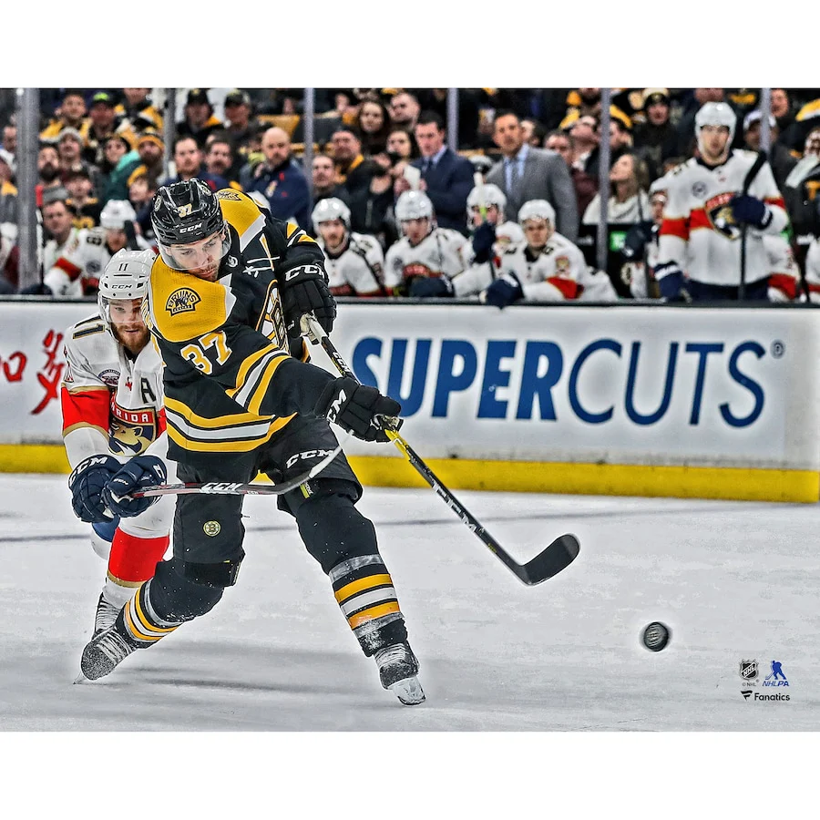 Patrice Bergeron in Action Boston Bruins 8" x 10" Hockey Photo