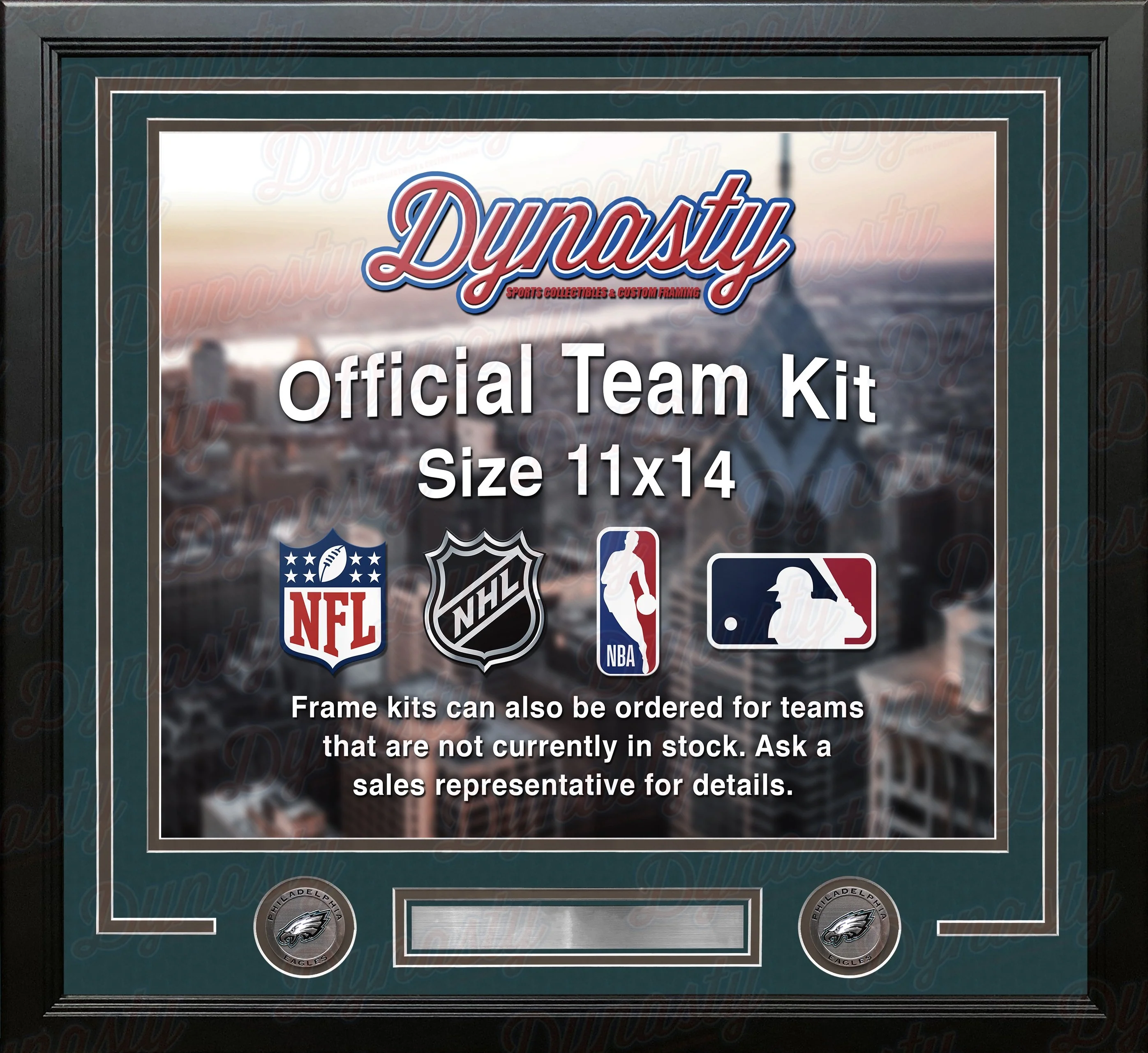 Philadelphia Eagles Custom NFL Football 11x14 Picture Frame Kit (Multiple Colors)