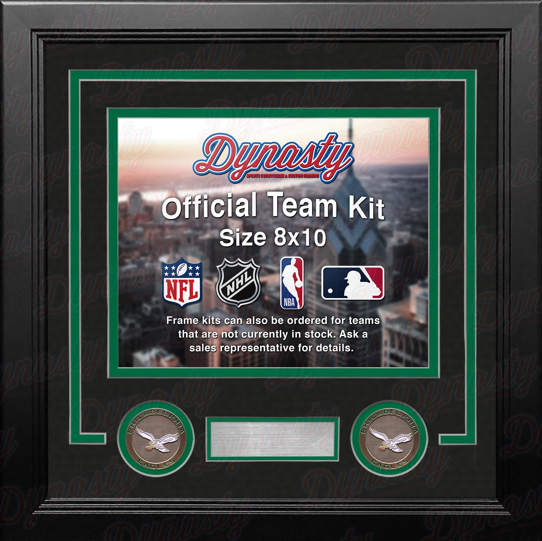 Philadelphia Eagles Throwback Custom NFL Football 8x10 Picture Frame Kit (Multiple Colors) - Image 4