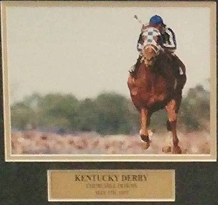 Ron Turcotte & Secretariat 1973 Triple Crown Winner Framed and Matted Horse Racing Collage - Image 2