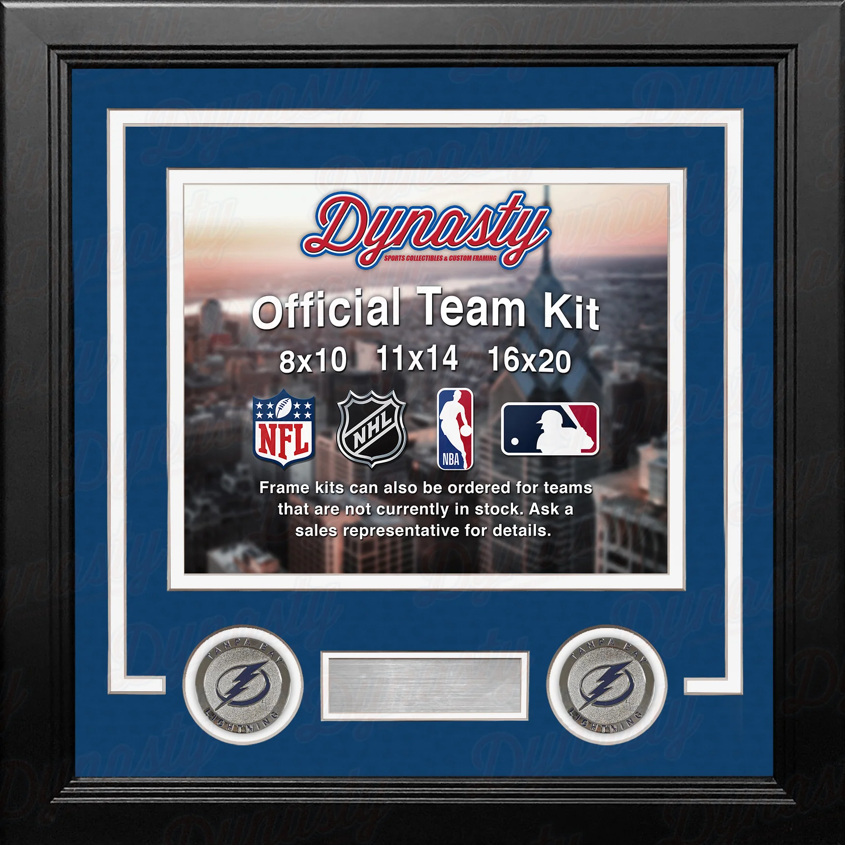 Tampa Bay Lightning Custom NHL Hockey 8x10 Picture Frame Kit (Multiple Colors)