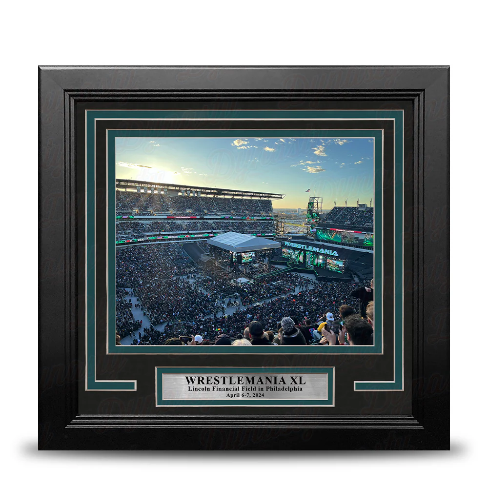WrestleMania XL at Lincoln Financial Field 8" x 10" Framed WWE Wrestling Stadium Photo