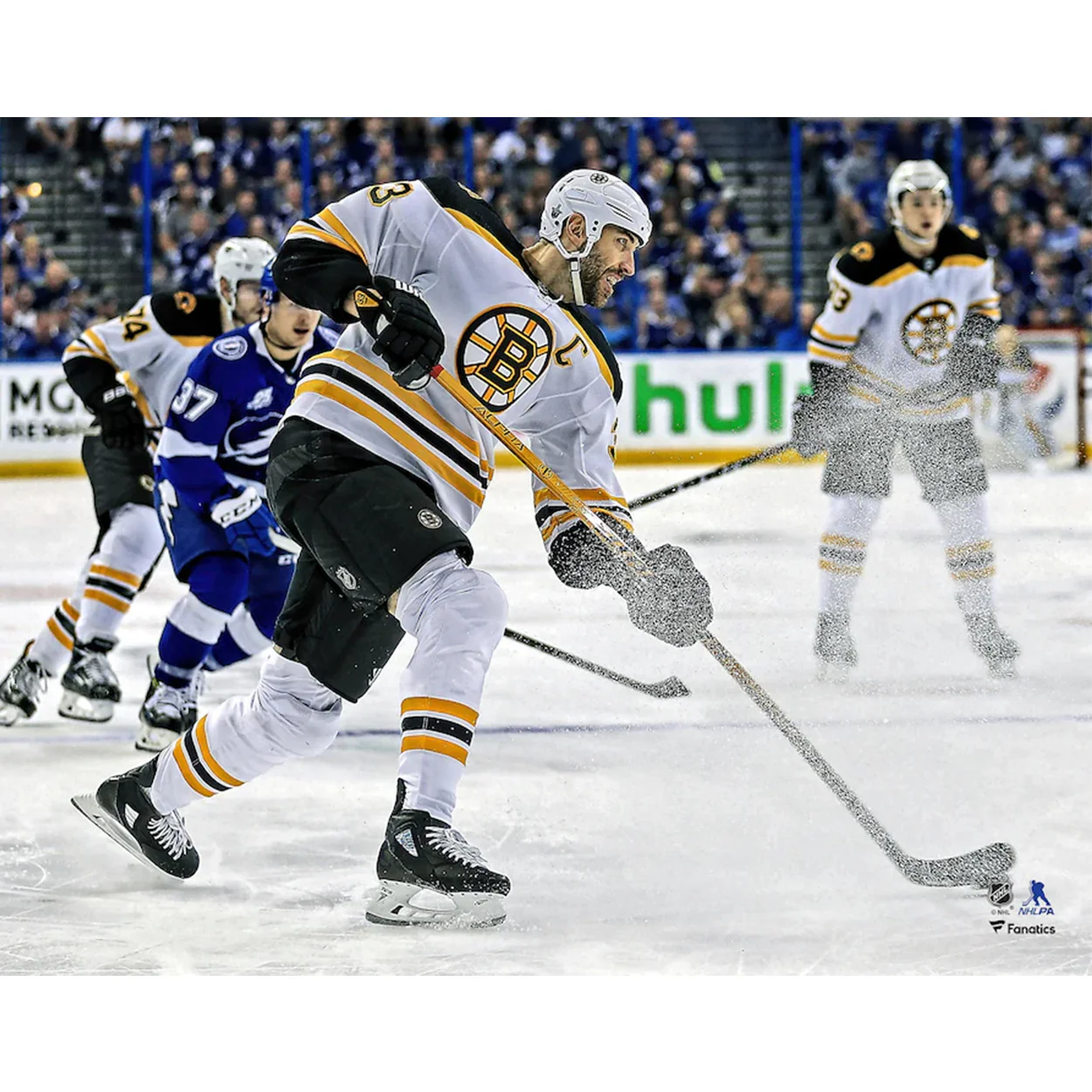 Zdeno Chara Boston Bruins In Action Photo - Image 2